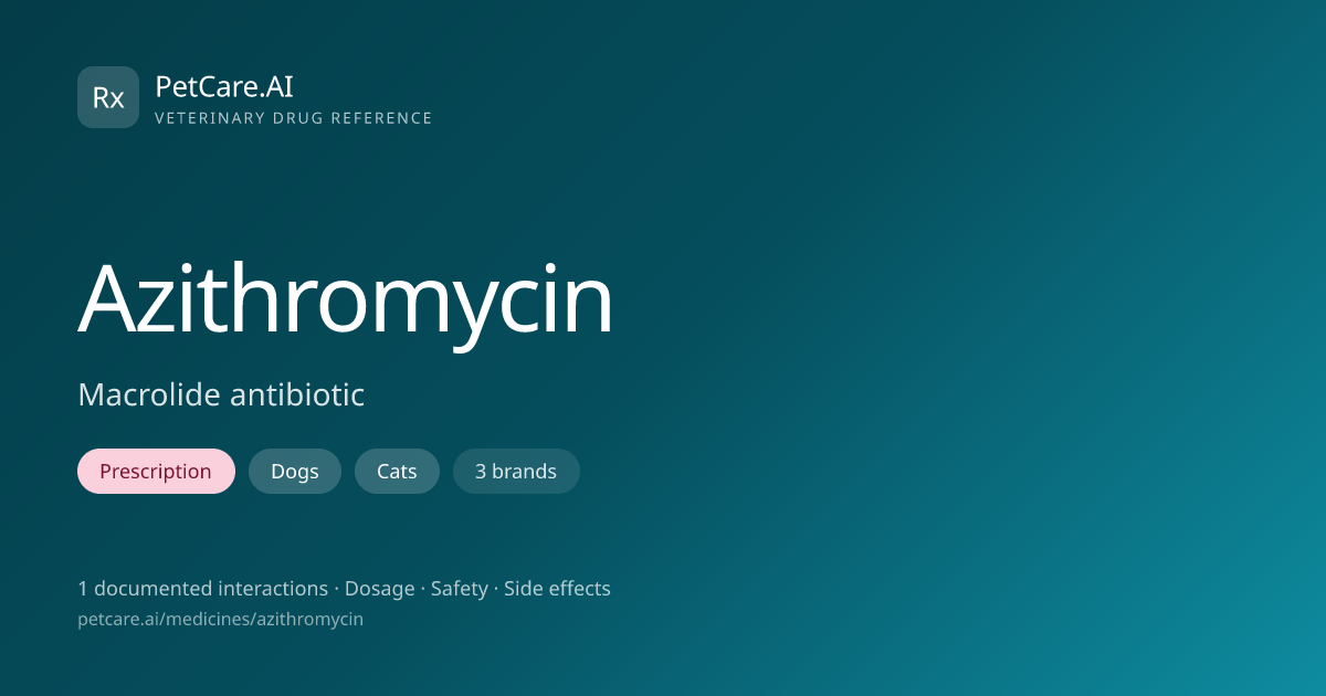 Azithromycin for Pets — Dosage, Safety & Interactions | PetCare.AI