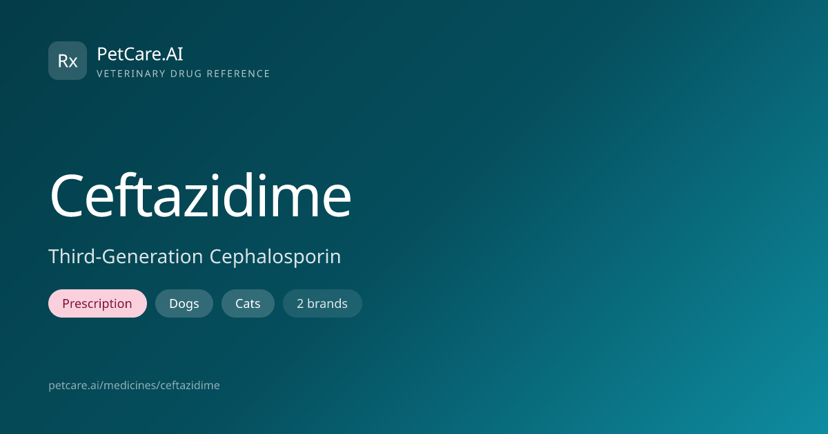 Ceftazidime for Pets — Dosage, Safety & Interactions | PetCare.AI