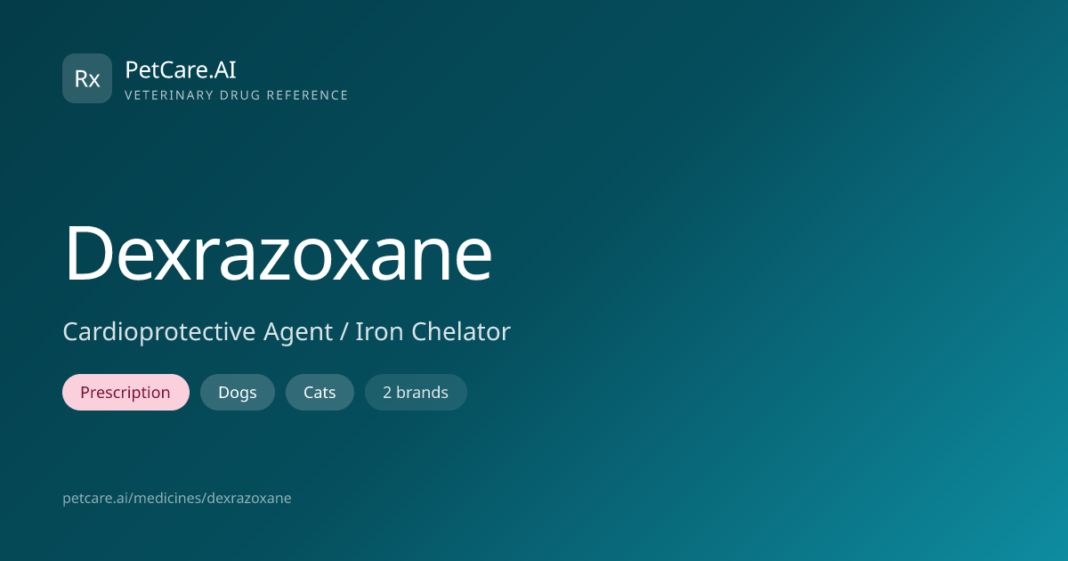 Dexrazoxane for Pets — Dosage, Safety & Interactions | PetCare.AI