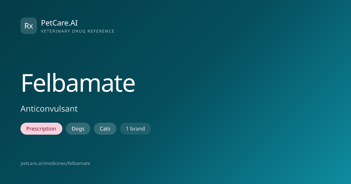 Felbamate for Pets — Dosage, Safety & Interactions | PetCare.AI