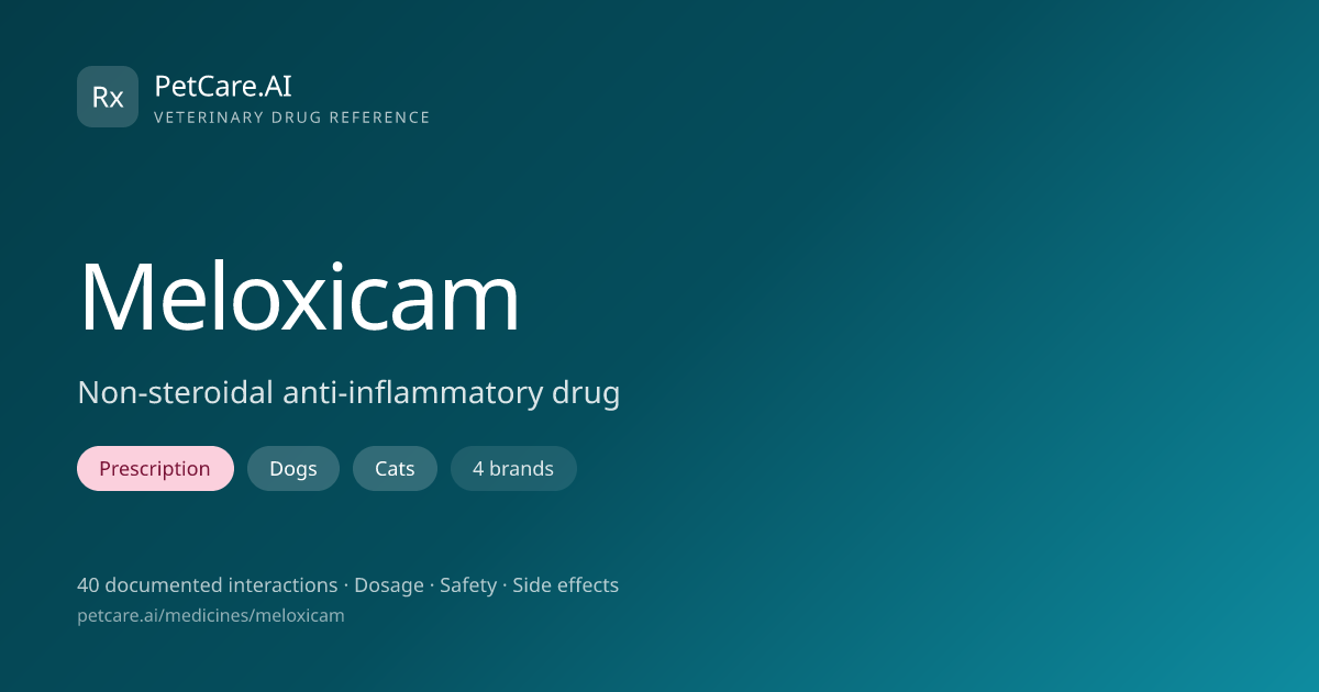 Meloxicam for Pets — Dosage, Safety & Interactions | PetCare.AI