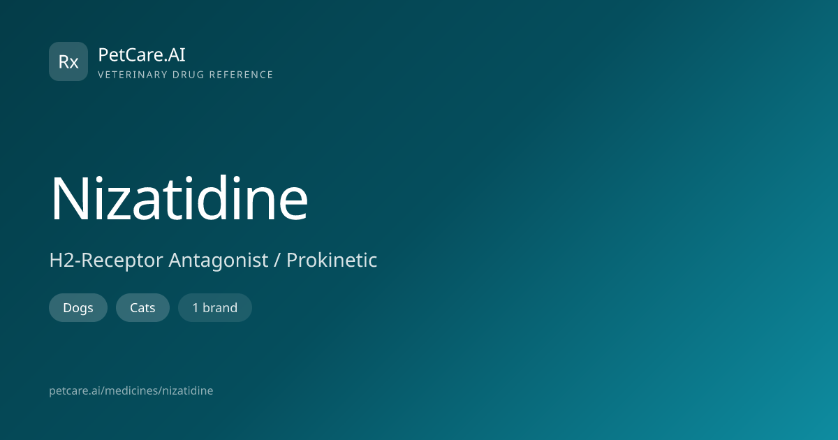 Nizatidine for Pets — Dosage, Safety & Interactions | PetCare.AI