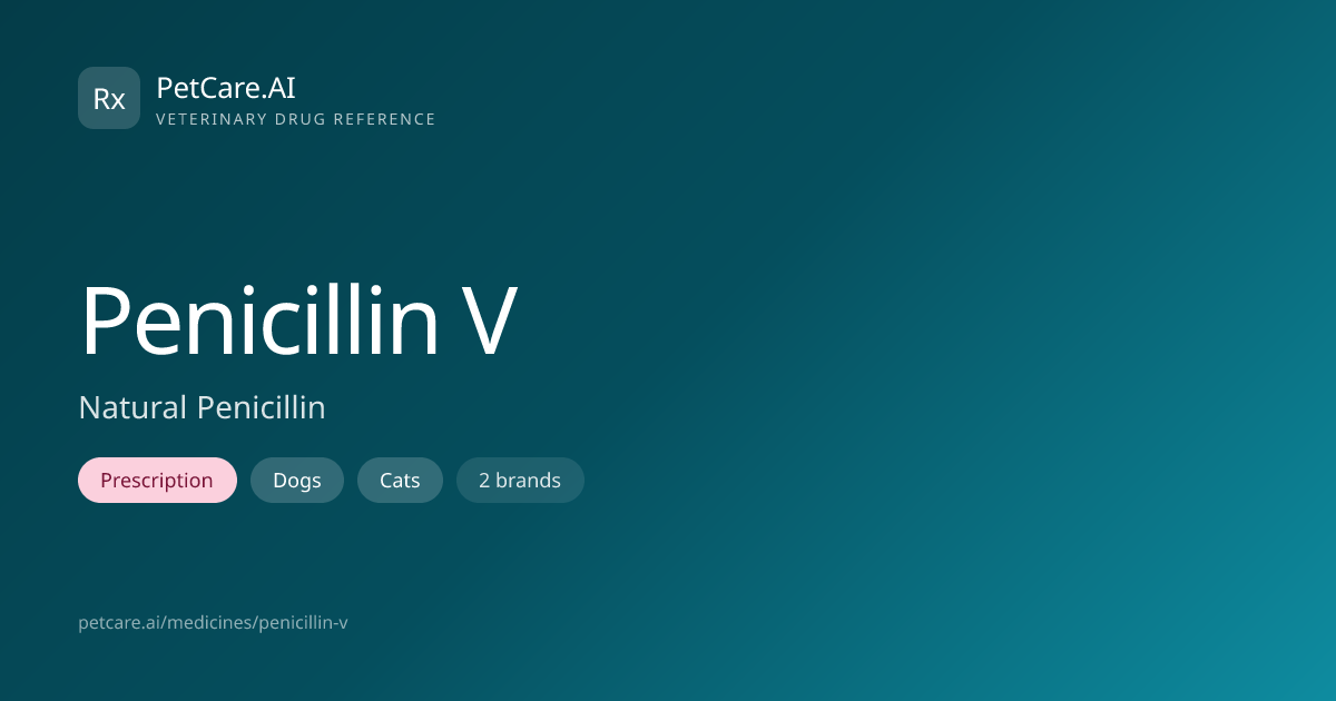 Penicillin V for Pets — Dosage, Safety & Interactions | PetCare.AI